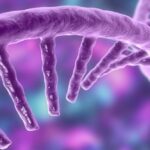 AGGIORNAMENTO SULLA SPERIMENTAZIONE DEGLI OLIGONUCLEOTIDI ANTISENSO (ASO) PER LA SINDROME DI ANGELMAN